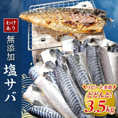 【訳あり】勝浦市の人気の海鮮お礼品 無添加 塩サバ 3.5kg 