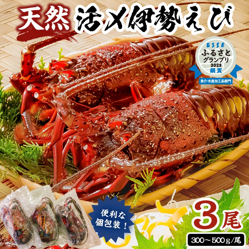 [天然]甘み凝縮!活〆冷凍伊勢海老900g以上(300g×3尾) 