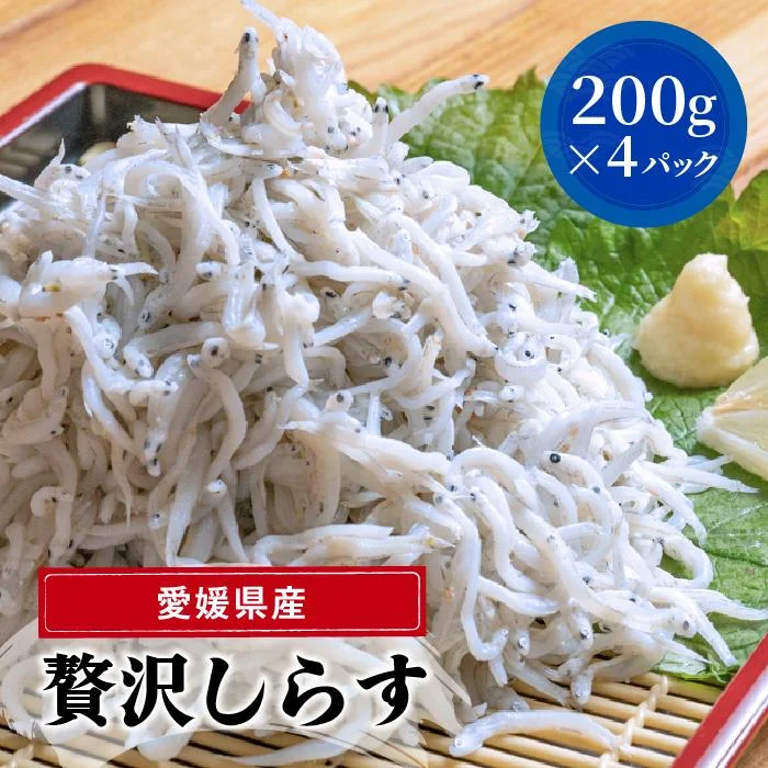 愛媛県産 大容量 贅沢 しらす 800g ( 200g × 4パック )