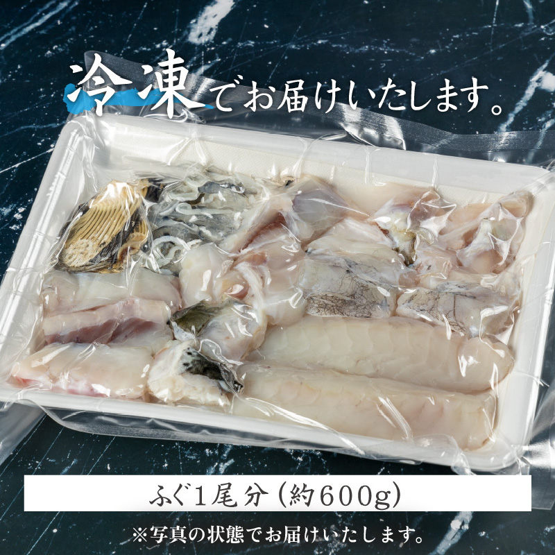 敦賀ふぐ調理済セット 1尾分(600g) 