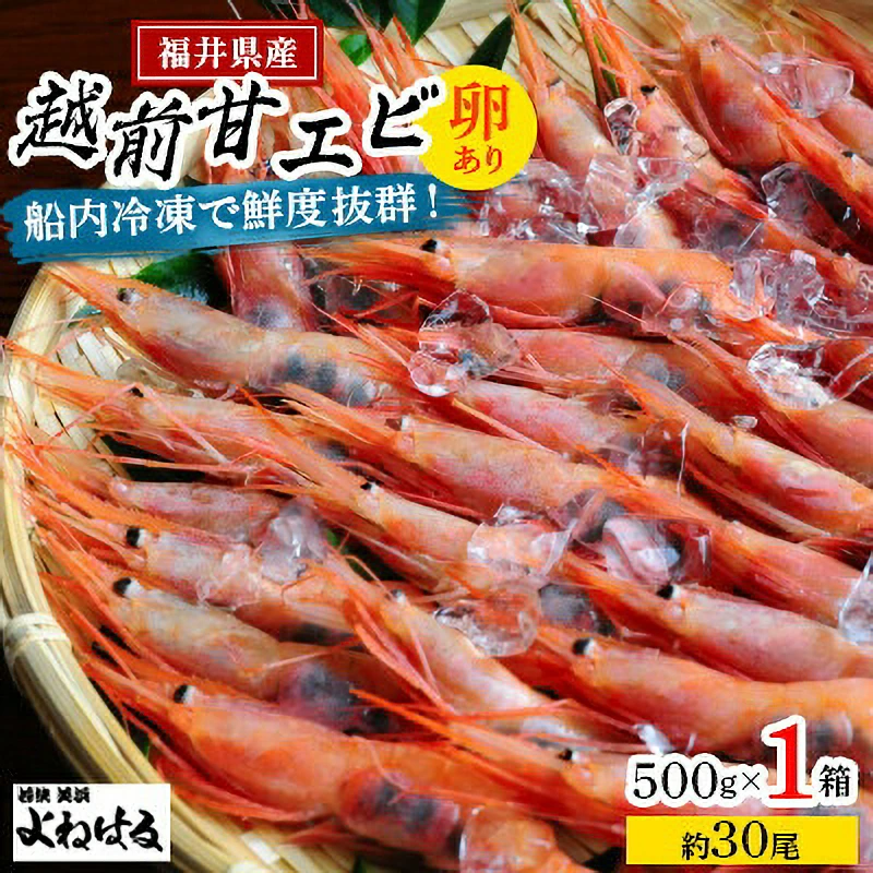 大好評!越前甘えび[大サイズ・卵あり] 500g/1箱 