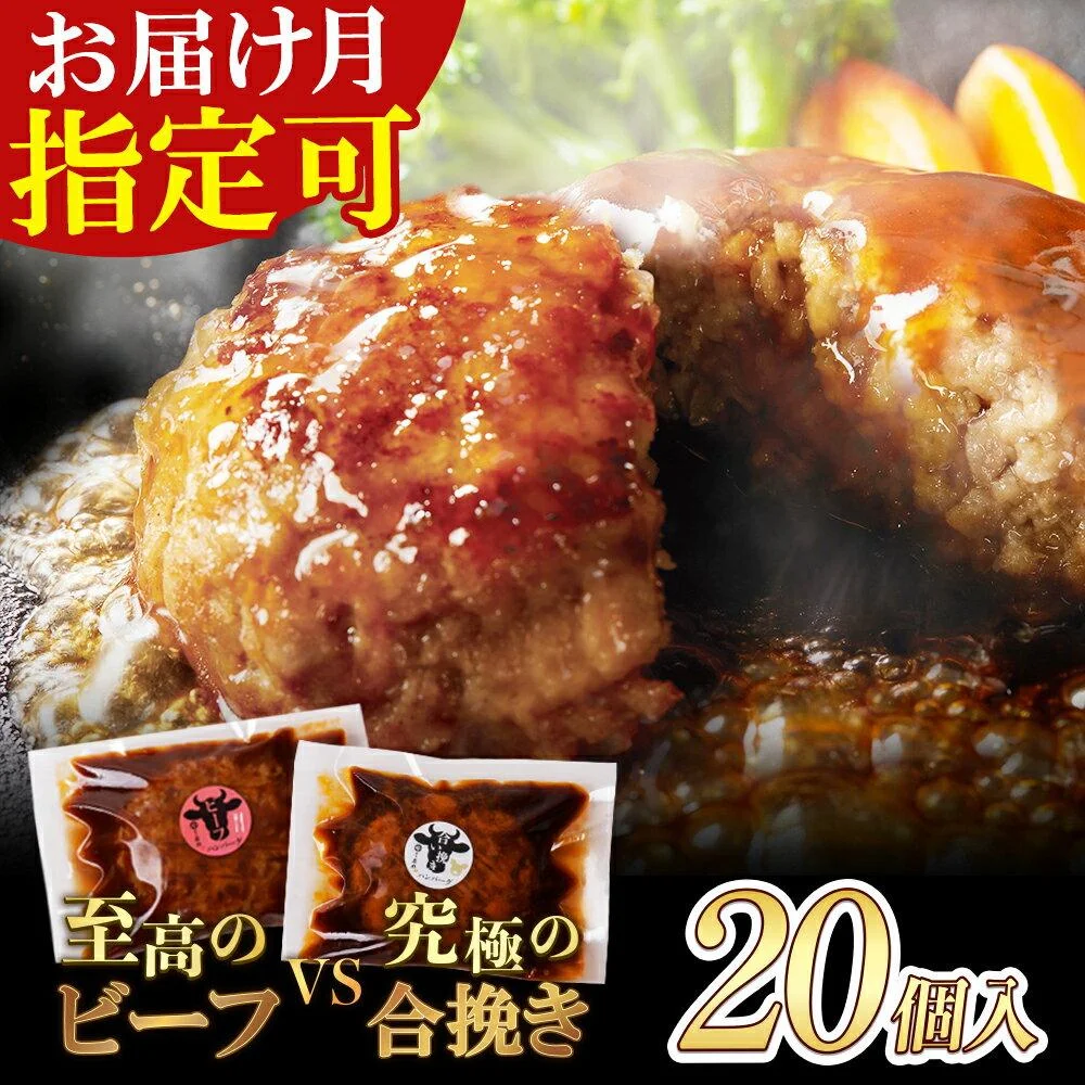 どっちのハンバーグ!?デミグラスソース20個セット(ビーフ・合挽 各10個)