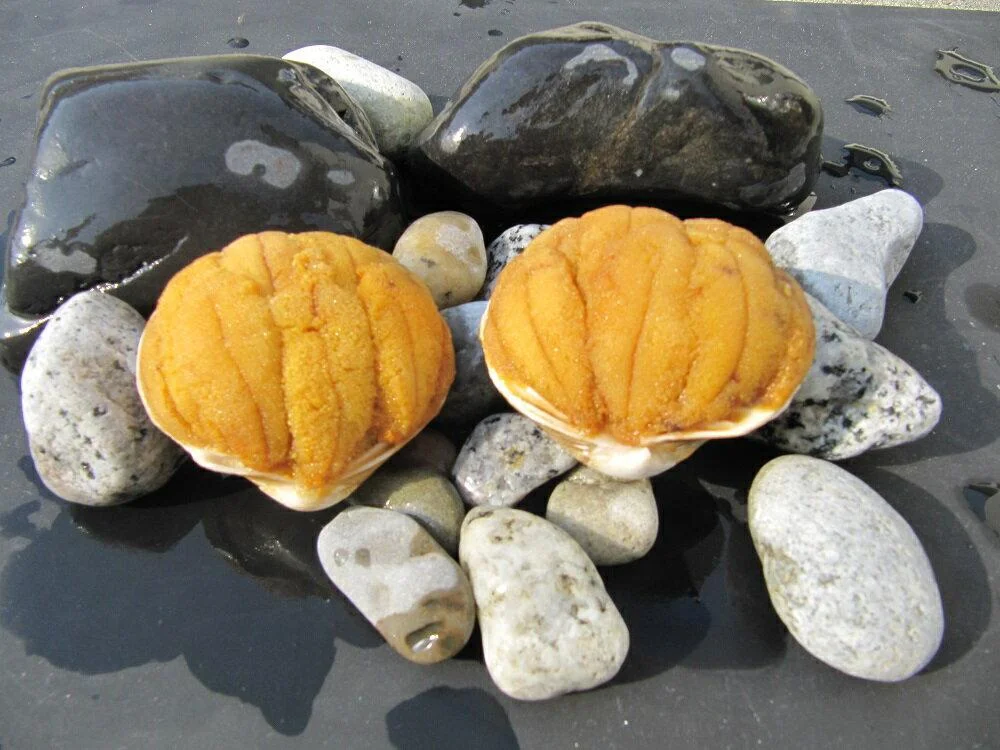 いわき加工の馬目商店うに貝焼き 2個入