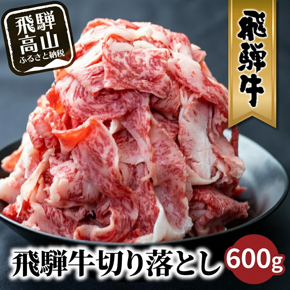 飛騨牛 訳あり 牛肉 切り落とし 600g
