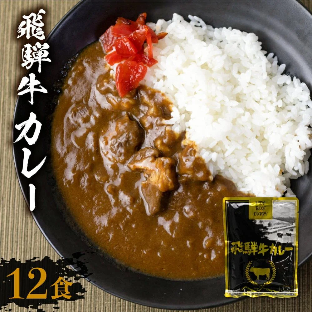 飛騨牛カレー (12袋)