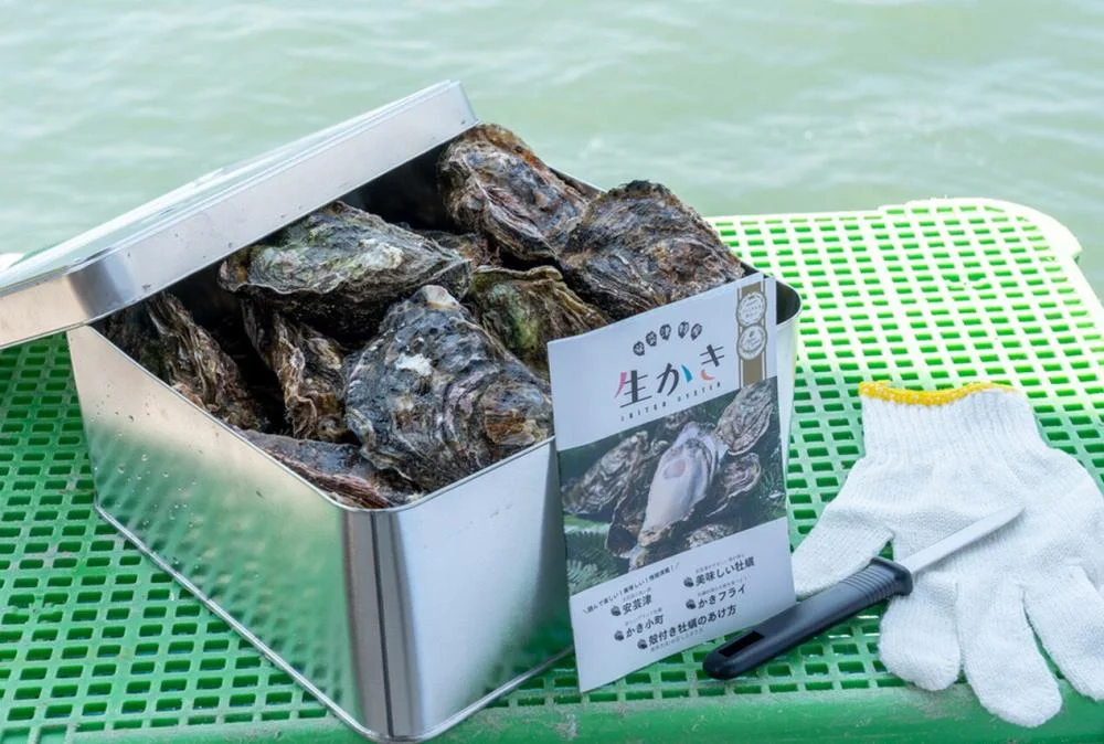 カンカン焼きセット 広島 殻付き牡蠣 約20個 マルミ水産 