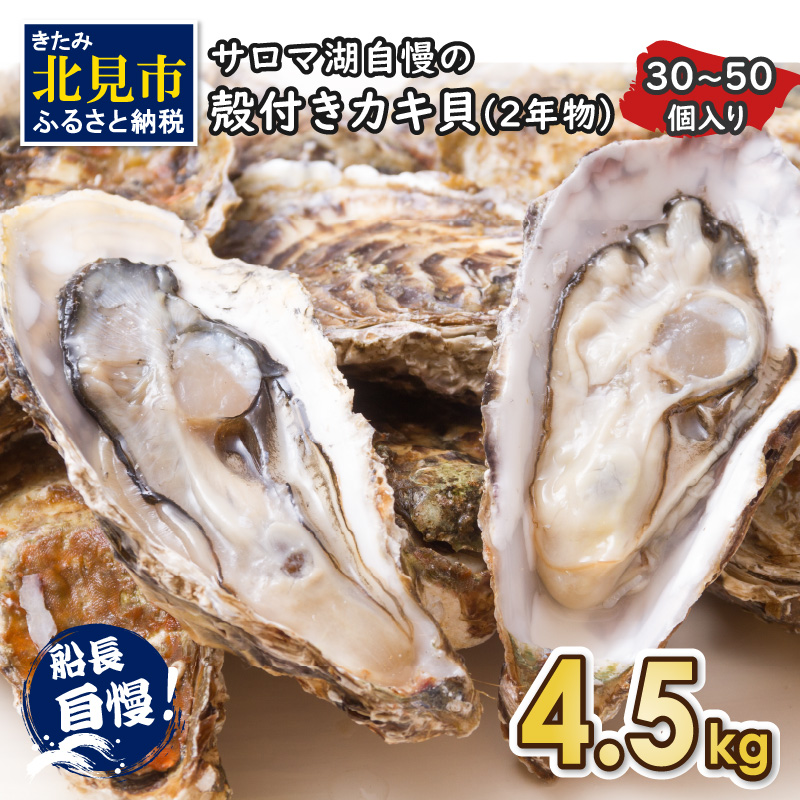 [A-441-2023][先行予約]サロマ湖自慢の殻付きカキ貝(2年物)4.5kg詰め 