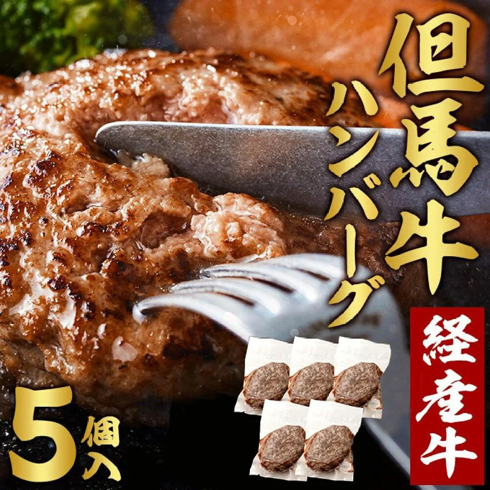 但馬牛 ハンバーグ 5人前 (150g×5個)個包装