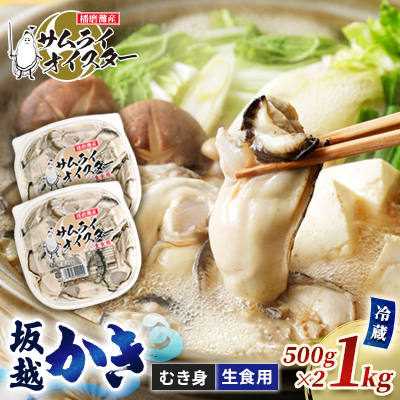 坂越かき むき身500g×2(サムライオイスター)[ 牡蠣 冬牡蠣 ] 
