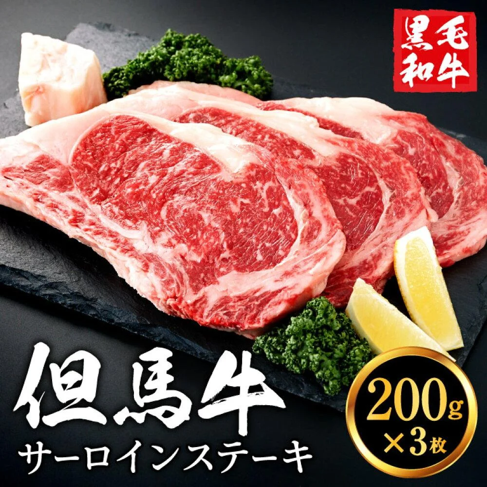 但馬牛 サーロインステーキセット 600g (200g×3枚)3人前