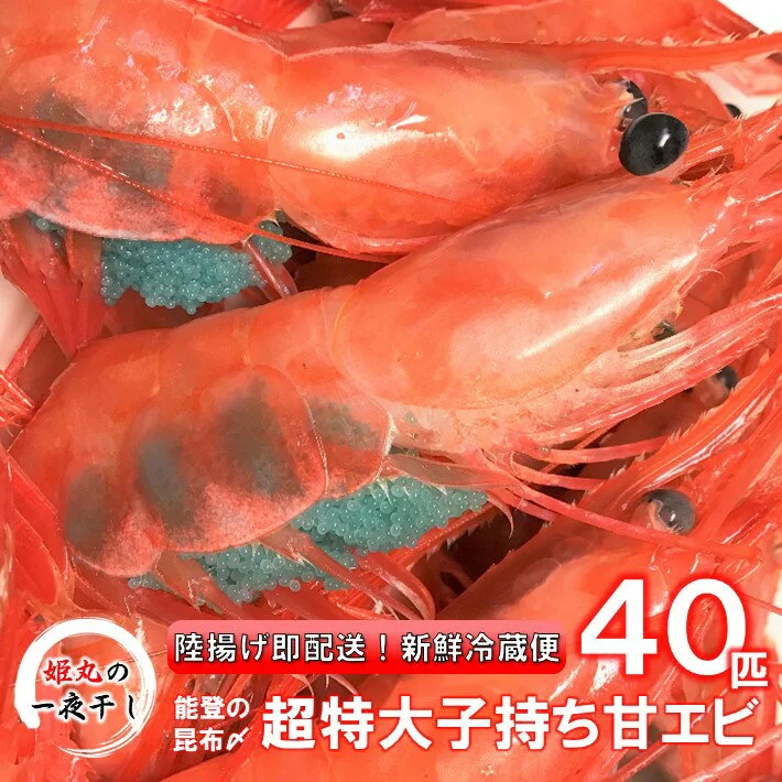 姫丸の子持ち甘エビ40匹丸ごと昆布〆[D023] 