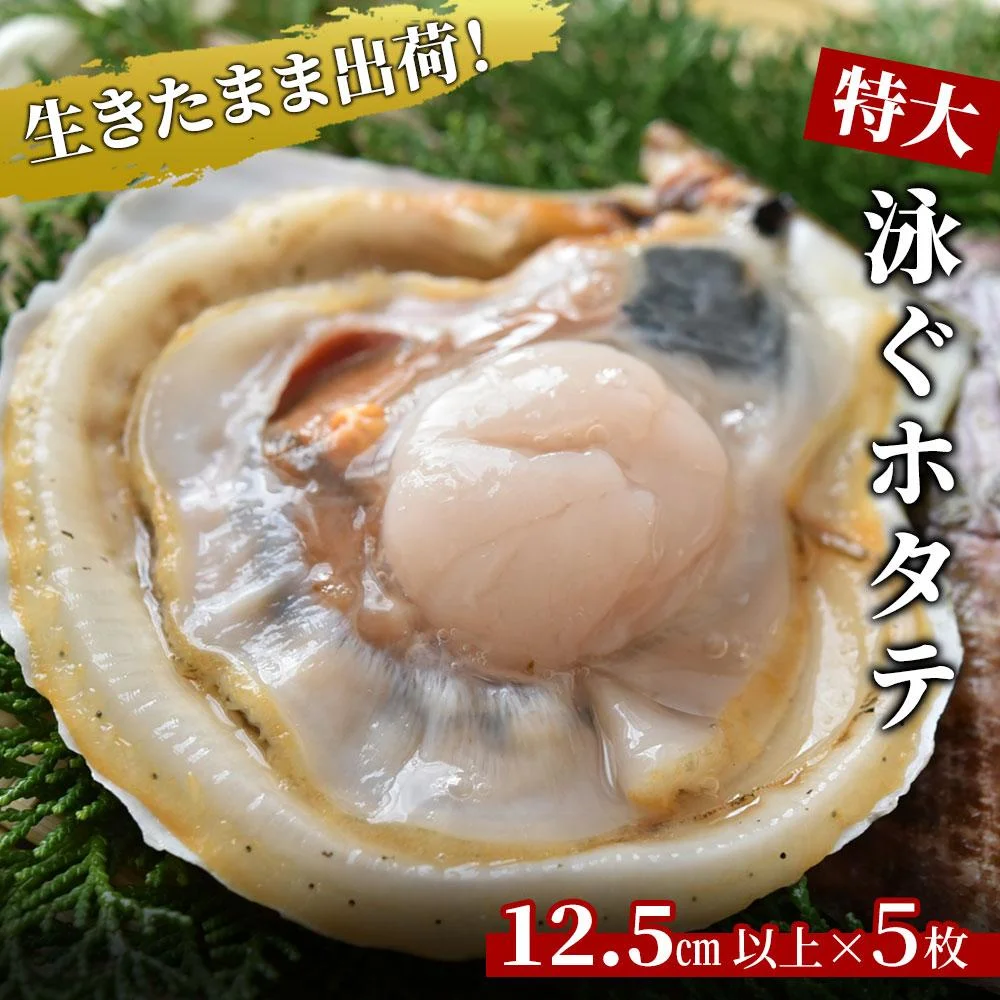 泳ぐホタテ ほたて 活ホタテ