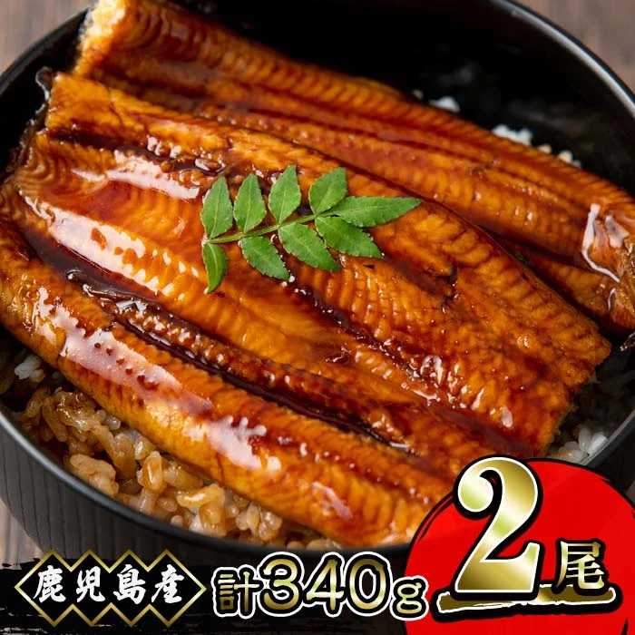 うなぎ 蒲焼 鹿児島産 鰻 140g以上 2尾 合計 340g