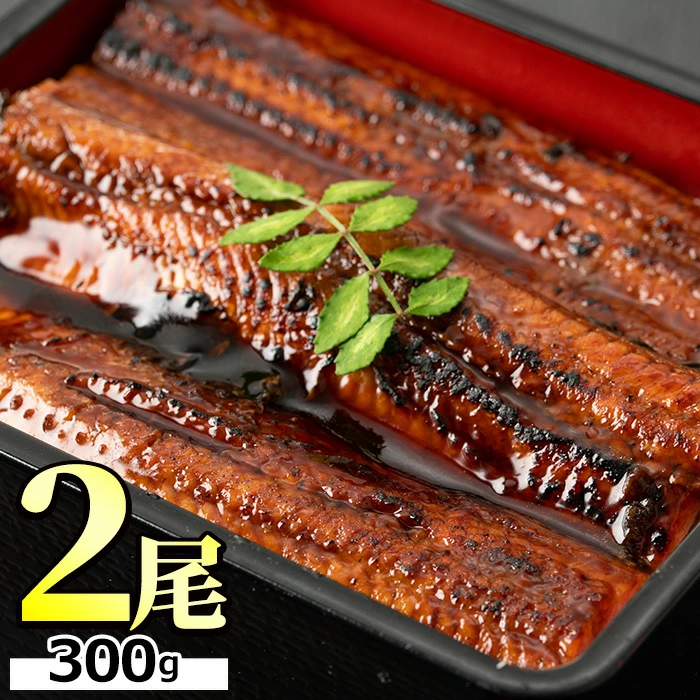 東串良町のうなぎ蒲焼(無頭)(2尾・計約300g・タレ、山椒付)[11930] 