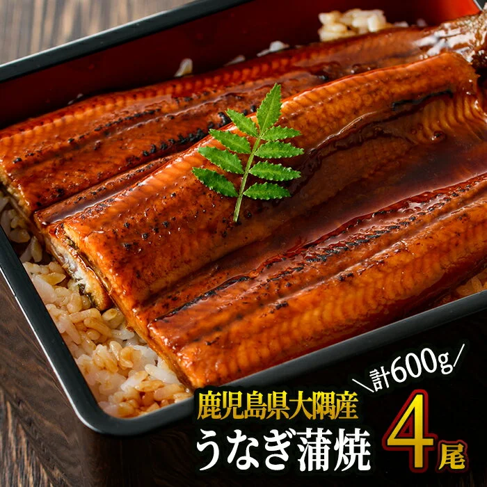鹿児島県大隅産うなぎ蒲焼600g[4尾] 