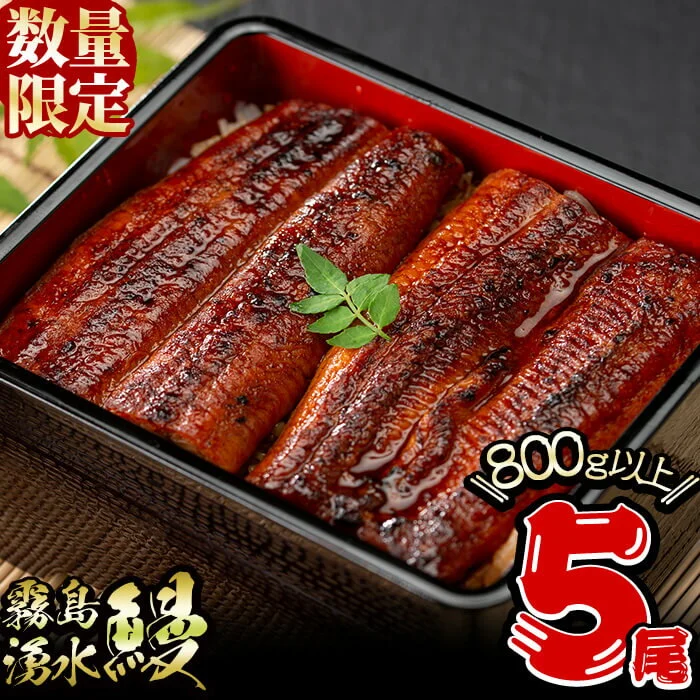 鹿児島県産 山田水産の霧島湧水鰻(計800g以上 / 160g以上×5尾)