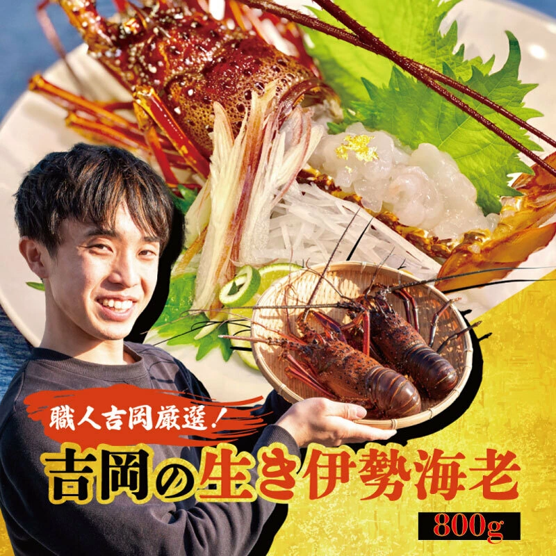 吉岡の伊勢海老800g以上 (1尾から4尾) 