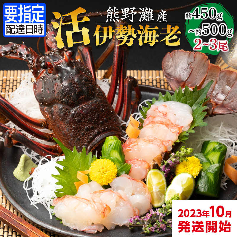 熊野灘産活伊勢海老（御浜コース） 2～3尾 