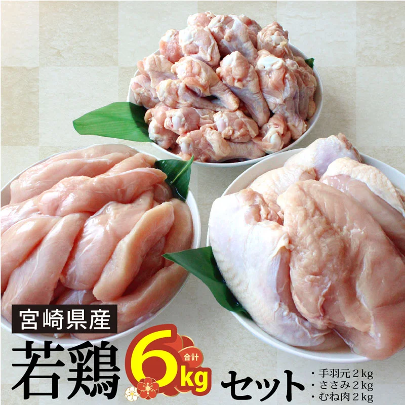 宮崎県産若鶏小分けセット 合計6kg 