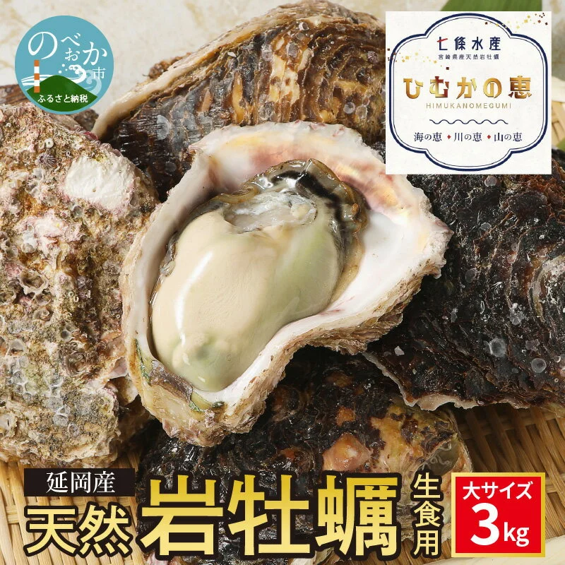 牡蠣 岩牡蠣 生食用 3kg 大 サイズ 生牡蠣 殻付き 七條水産 
