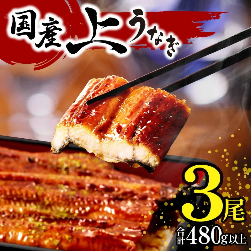 国産うなぎ蒲焼3尾(計480g以上)