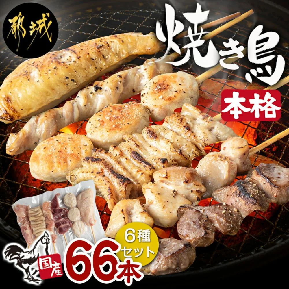職人串打ちの本格焼き鳥66本!! 
