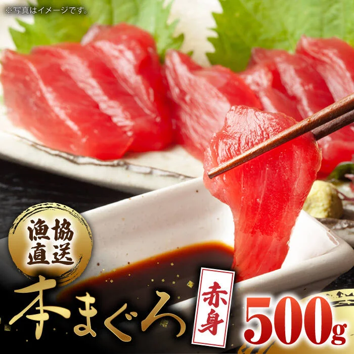 長崎県産 本マグロ「赤身」約500g