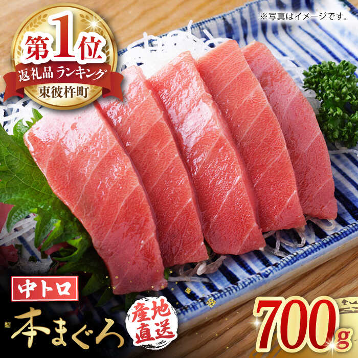 長崎県産 本マグロ「中トロ」(約700g)