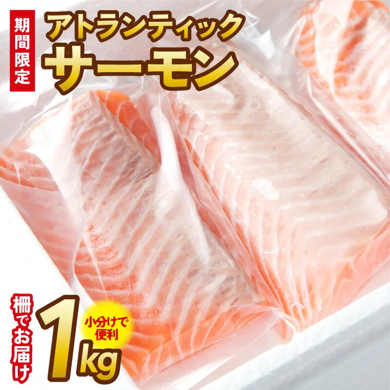 サーモン 1kg 上質 ブロック状 アトランティックサーモン