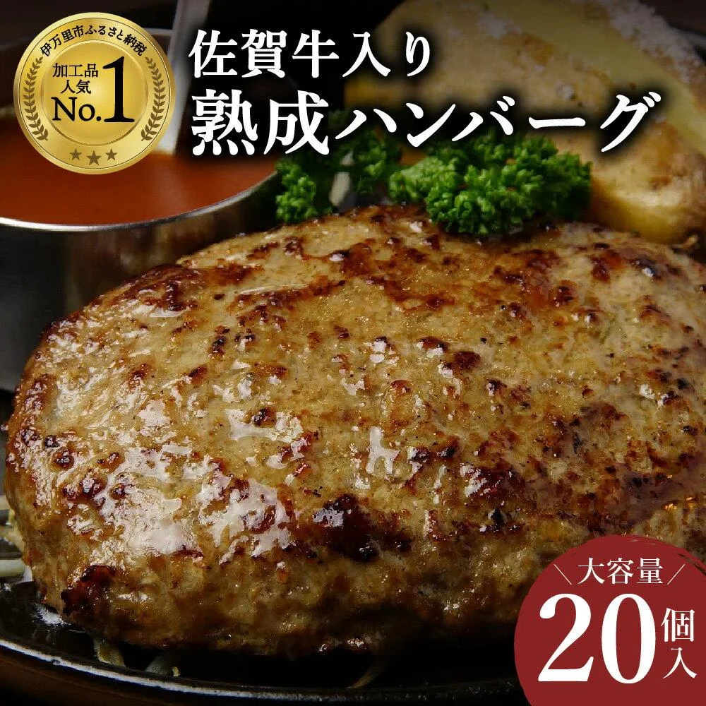 佐賀牛入り 熟成 黄金比率ハンバーグ 約120g×20個