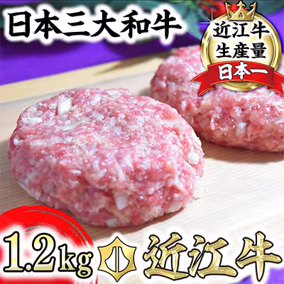 近江牛入(生)ハンバーグ(120gx10) 