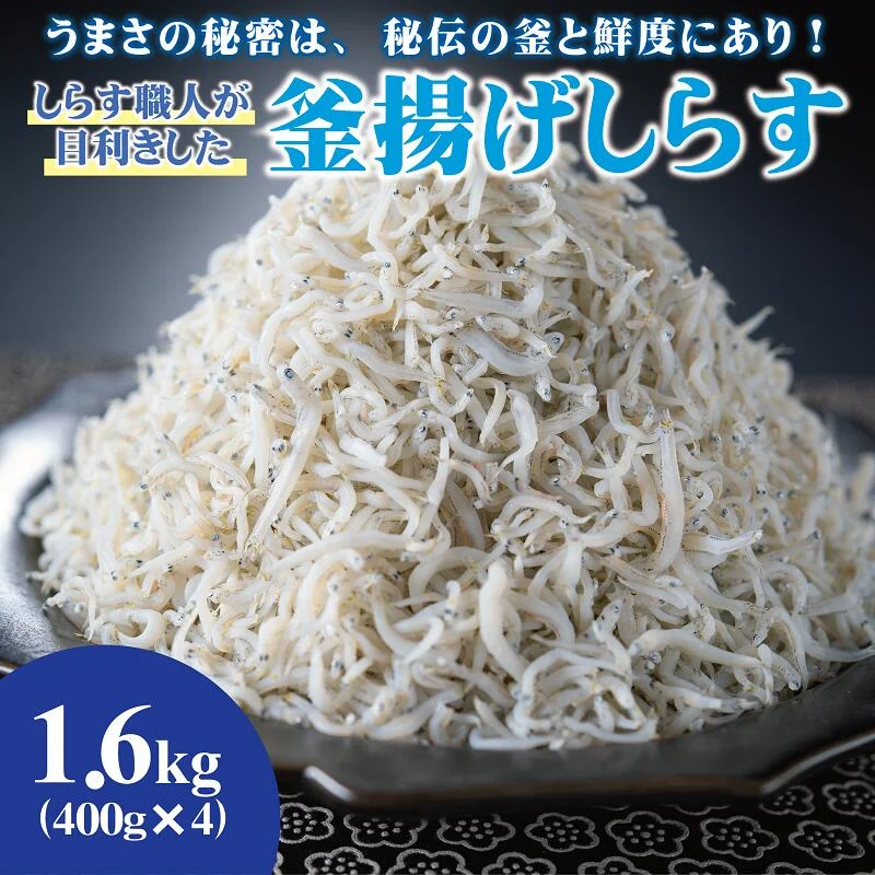 大容量!しらす職人が目利きした「釜揚げしらす」1.6kg