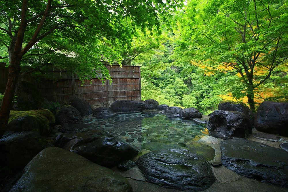会津芦ノ牧温泉 渓流の宿 渓山 大浴場☆