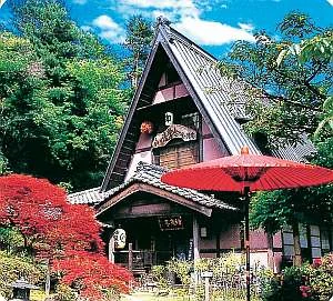 入の元湯 神泉亭
