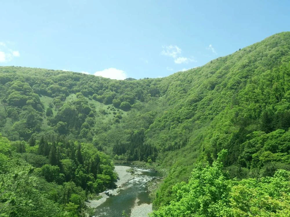 会津芦ノ牧温泉 丸峰別館 川音 絶景