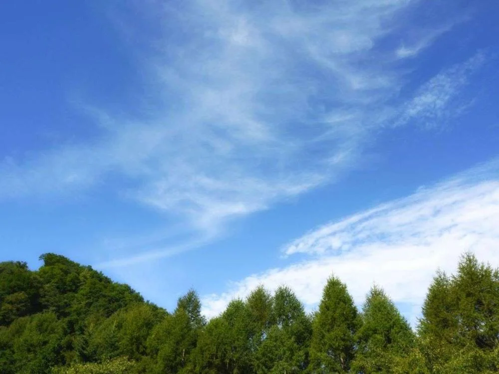 磐梯名湯リゾート　ボナリの森からの絶景・眺望