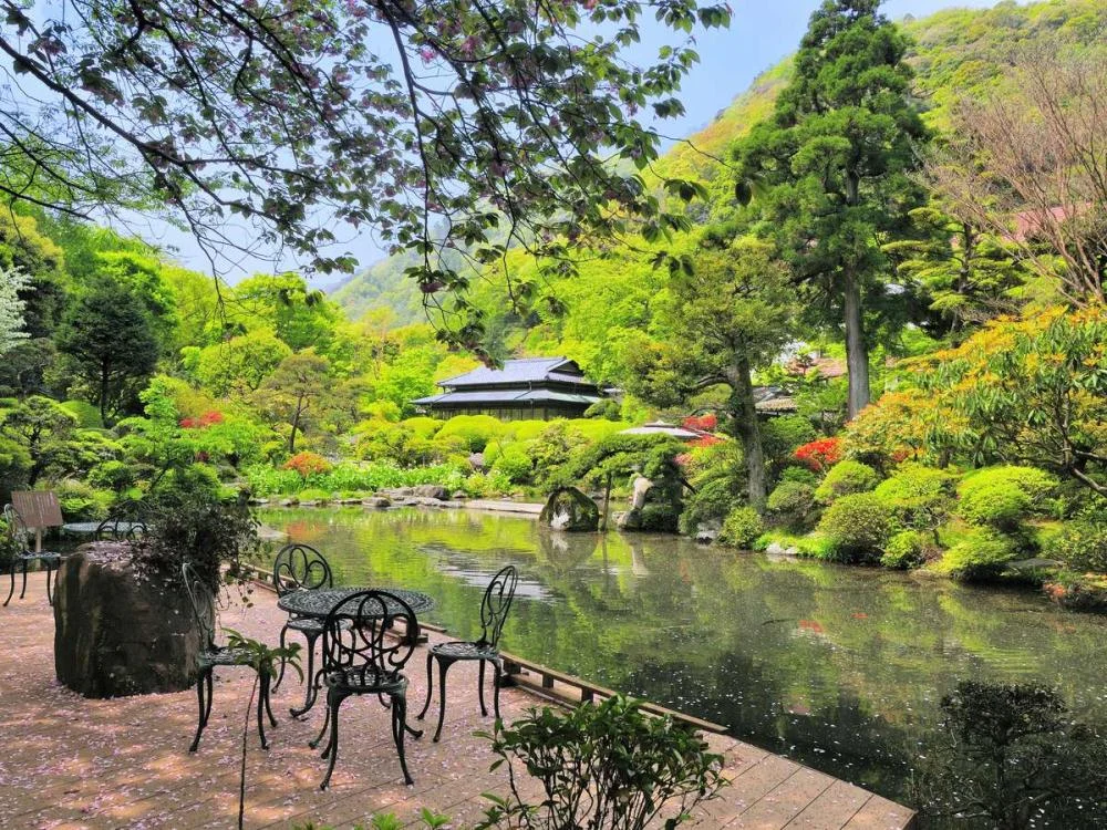 箱根湯本温泉 吉池旅館からの絶景・眺望