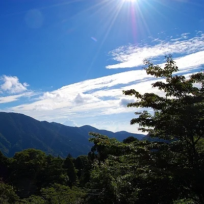 箱根料理宿 弓庵からの絶景・眺望