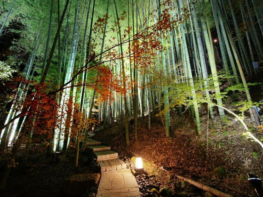 白川源泉 山荘 竹ふえ
