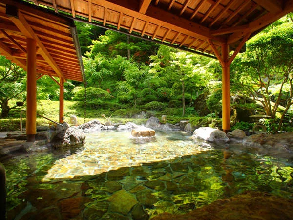 早太郎温泉 山野草の宿 二人静の大浴場