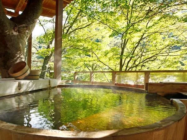 渓谷美の宿 風景館の大浴場