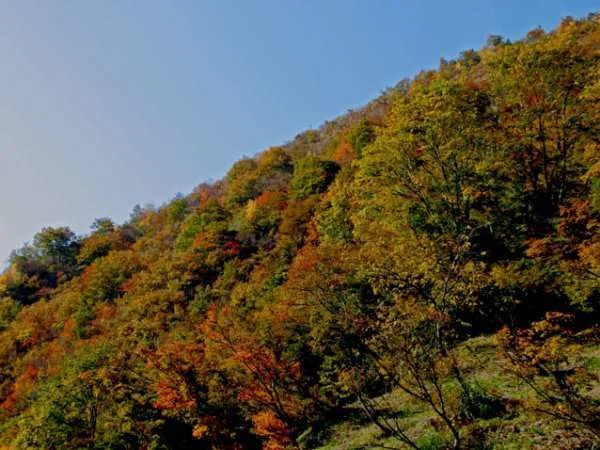 越後大湯温泉　源泉湯の宿　かいりからの絶景・眺望