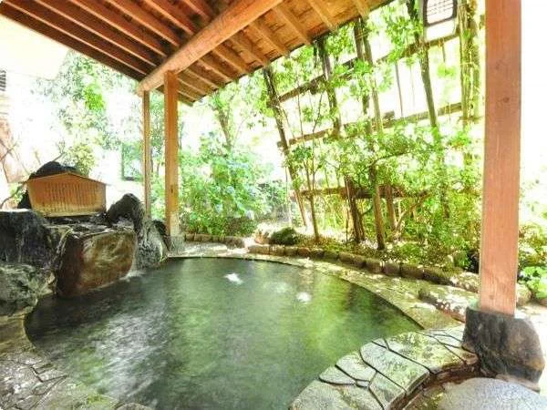 越後湯沢温泉　音羽屋旅館 大浴場☆