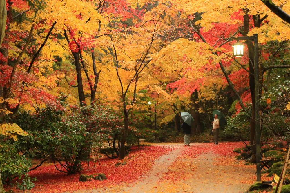 静かな森と明治・大正離れの宿　環翠楼からの絶景・眺望