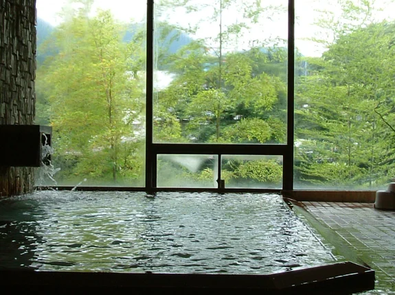 嬉野温泉 花とおもてなしの宿 松園 大浴場
