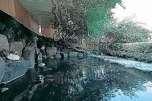 熱川温泉 絶景と露天風呂の宿 たかみホテルの大浴場