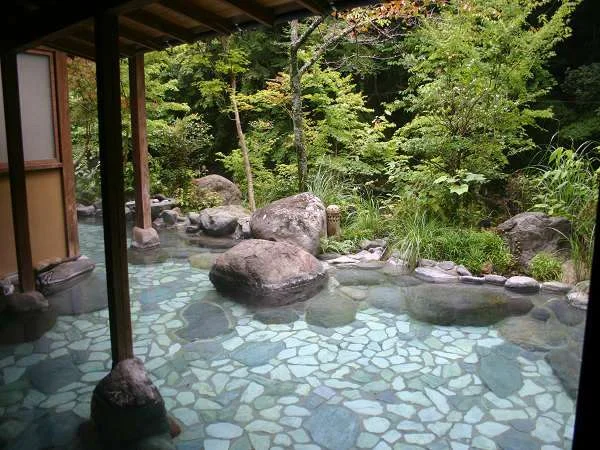 谷川の湯 あせび野の大浴場