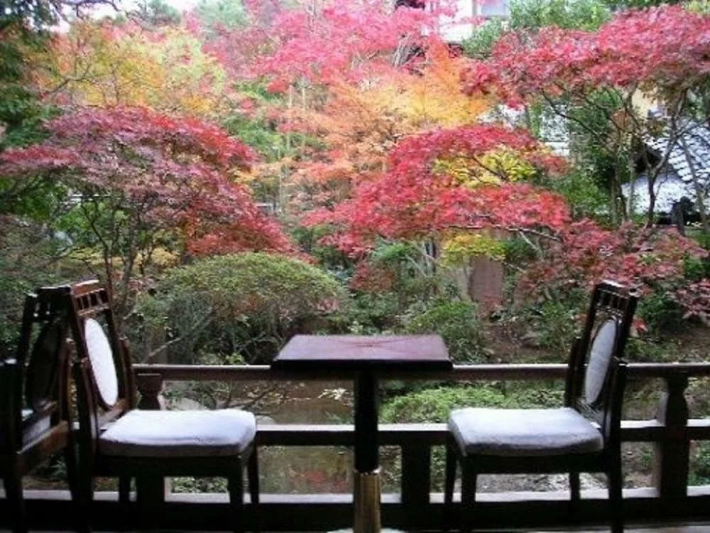 修善寺温泉 国の登録文化財の宿 新井旅館からの絶景・眺望