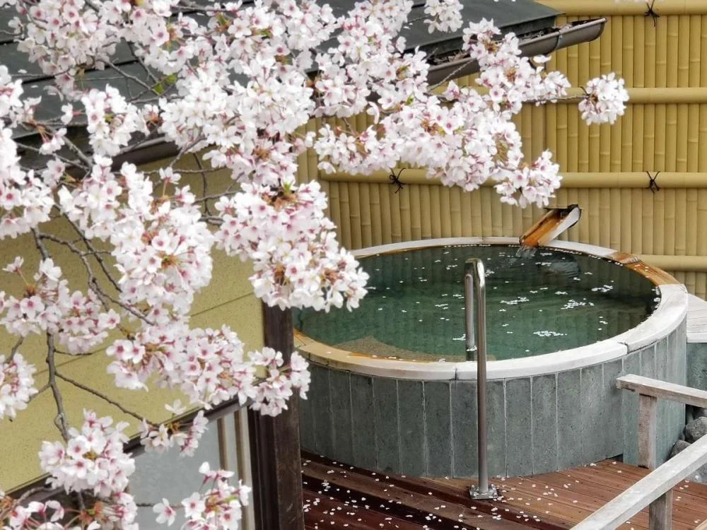 伊豆長岡温泉 招福の宿 ゑびすや(えびすや)からの絶景・眺望
