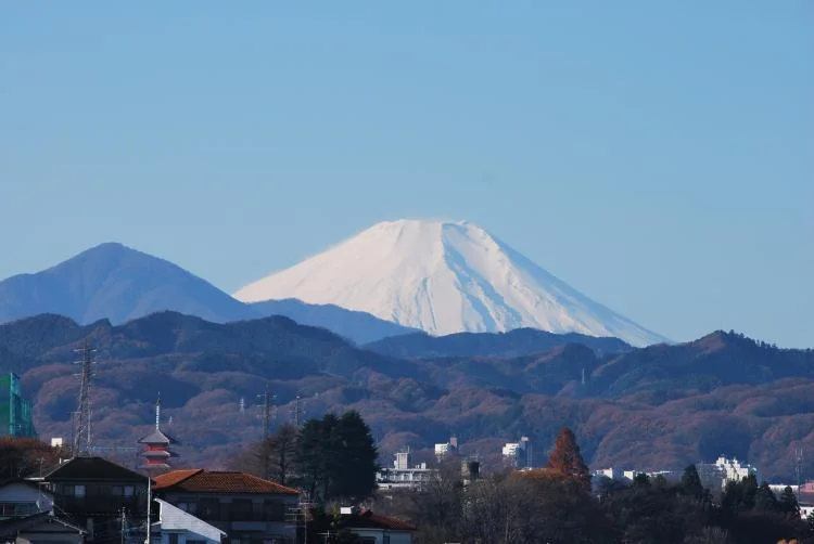 サンホテル八王子からの絶景・眺望